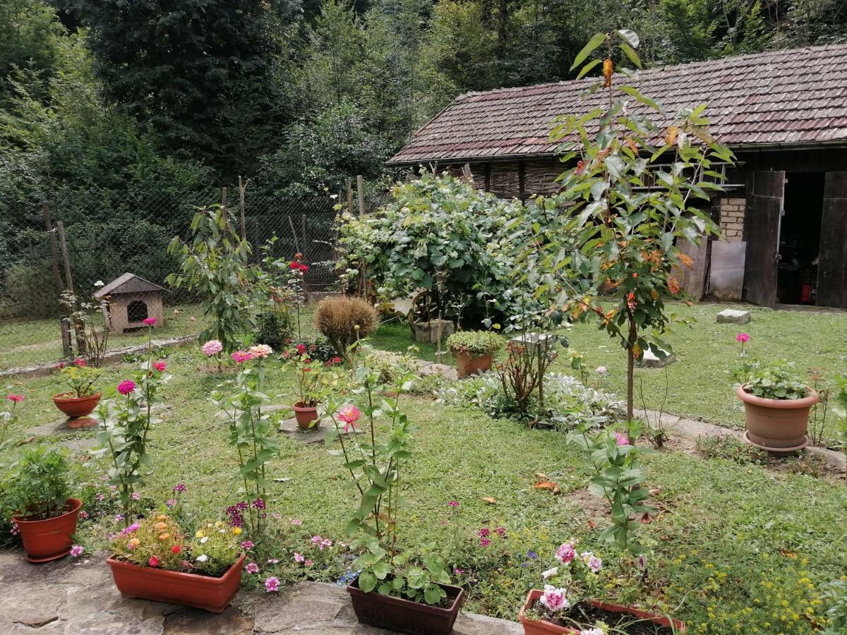 Guest House Tsveti-Trqvna Bangeytsi Exterior foto