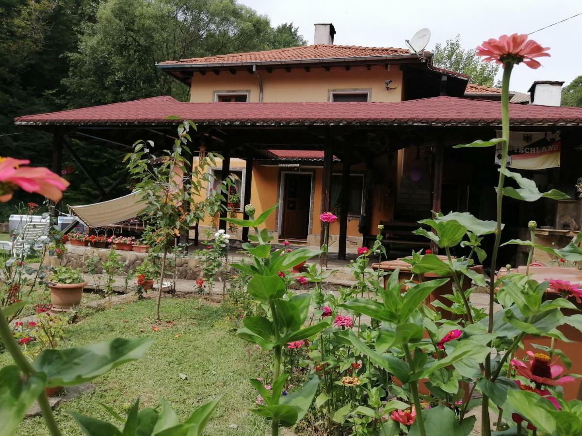 Guest House Tsveti-Trqvna Bangeytsi Exterior foto